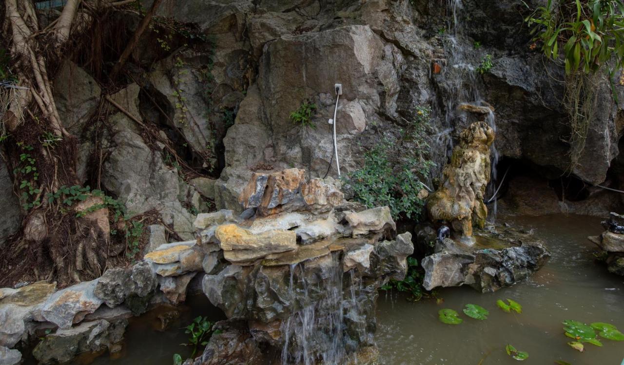 Trang An Viewpoint Homestay 宁平 外观 照片